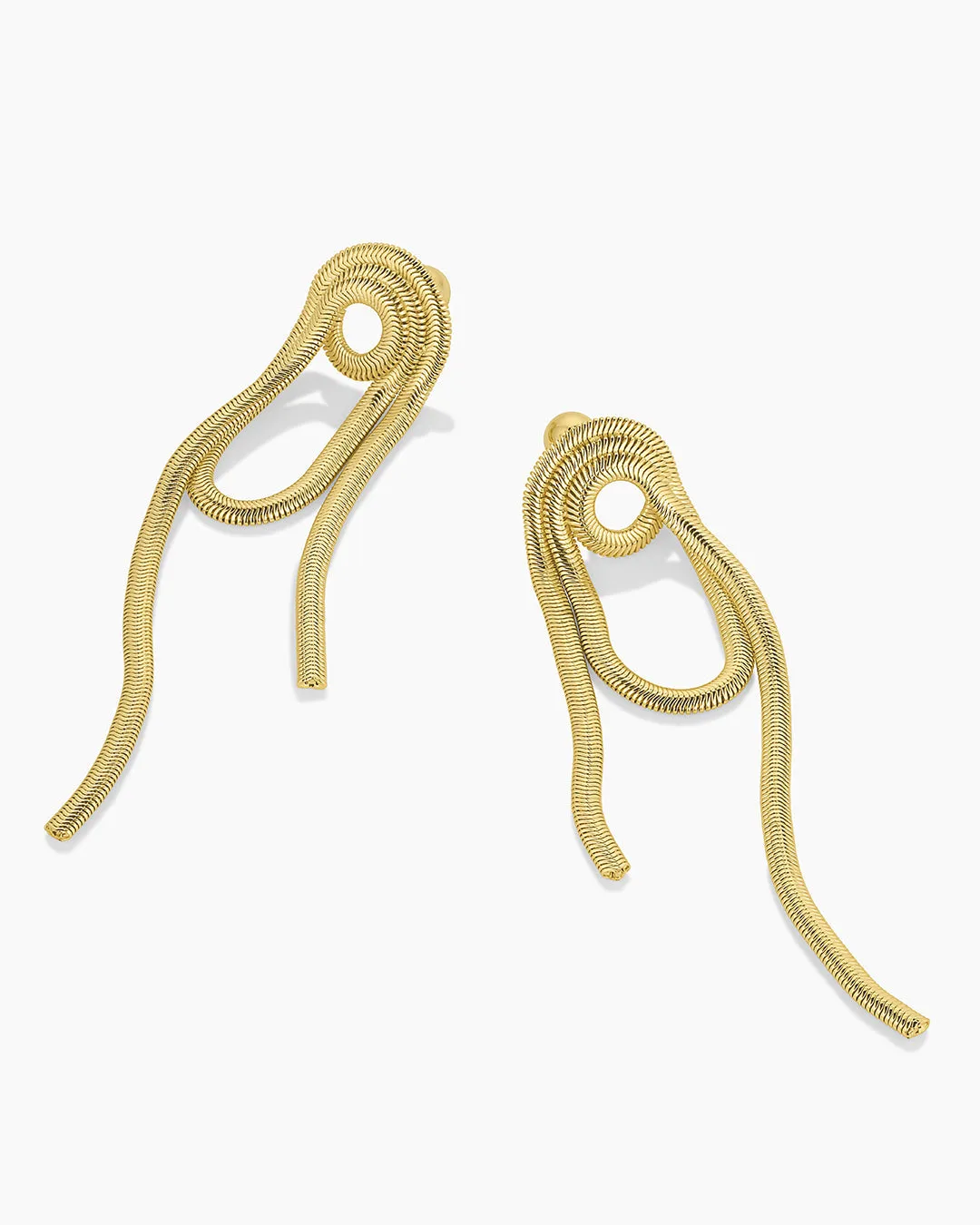 Venice Loop Earrings